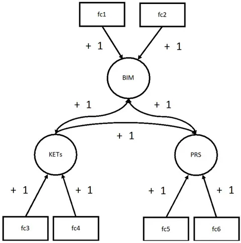 Figure 2: Has medium outlining for a null model for manufacturing survey results for discussion (arrows as causal hypotheses), focusing on contribution altogether, with BIMs with factors fc1-access and fc2-turn key innovation; KETs with factors fc3-automation and robotics and fc4-production control; and PRS, with factors fc5-online and fc6-maintenance provided —to achieve digital competitive advantage in Industry 4.0. Solid arrows depict validated causal connections between variables and factors, while double-headed arrows represent bidirectional correlations among BIMs, KETs, and PRS