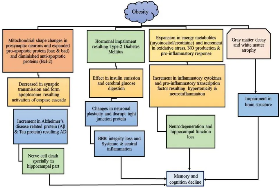 Fig.1: Systemic diagram of obesity-induced cognitive decline.