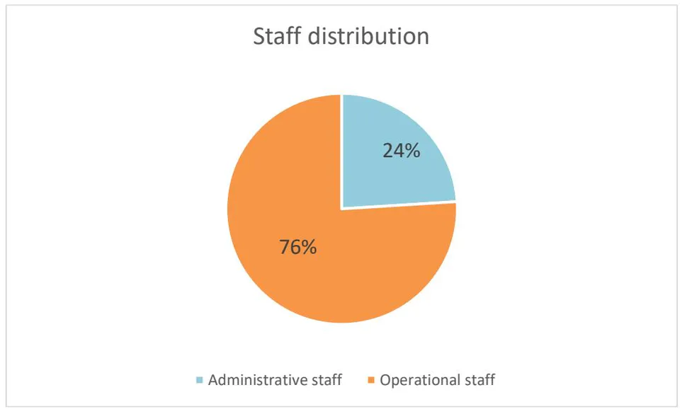 Figure 1: Staff distribution