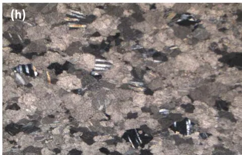 Figure 2: Microscopic Images; (a) Marble PPL and (b)Marble XPL from C1.1; (c) Mica schist PPL and (d) Mica Schist XPL, from C2.2 sample; (e) Mica schist PPL and (f) Mica Schist XPL from sampleC3.1; (g) Calcite Marble PPL and (h)Calcite Marble XPL, from sample C4.1