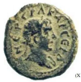 Fig. 3: Vespasian (obverse) and Tyche-Astarte (reverse), 69-79 CE, Dor. Reference: Porto 107 (X 3)