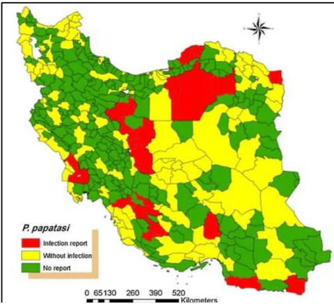 Figure 2: Distribution of Ph. papatasi infection to Leishmania parasites in Iran