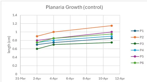 Figure 21: Planaria growth in green tea solution was measured over nine days. That graph above represents the planaria in trial two Figure 22: The graph shows the growth of the planaria in the control group over nine days. Each line represents a different planaria piece