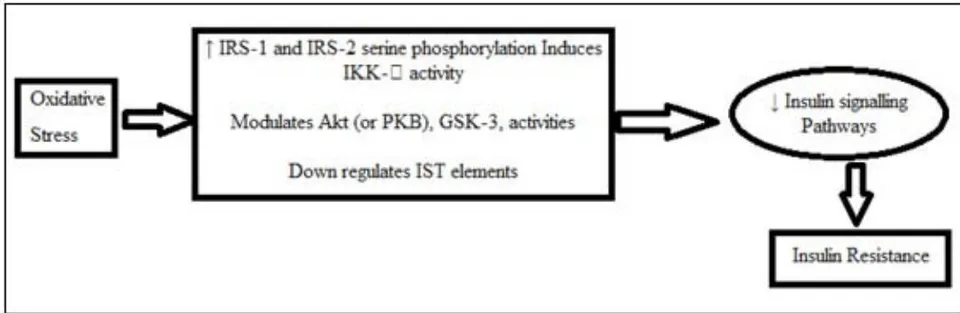 Figure 2: Oxidative stress impairs insulin signaling pathways by several molecular pathways.
