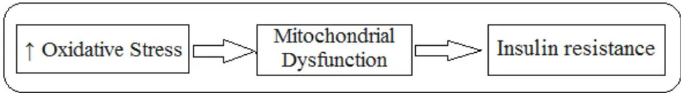Figure 3: Oxidative stress induces insulin resistance.