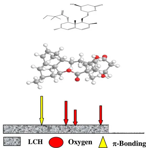 Figure 19: Schema model illustrated the adsorption of Simvastatinstructure on the (LCH) surface