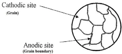 Figure 17: Schema models of metalα- phase