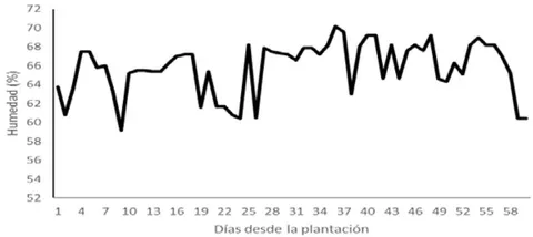 Figura 8: Temperatura durante el desarrollo de Sporobolus virginicus sobre tubetes Figura 9: Humedad relativa durante el desarrollo de Sporobolus virginicus sobre tubetes