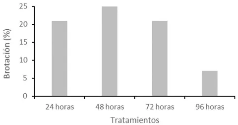Figura 7: Porcentaje de brotacion de segmentos en tubetes con arena y humus a las 24, 48, 72 y 96 h desde la proseccion