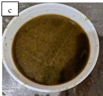 Figure 2: a. Tagetes erecta plant; b. Grinding; and c. Liquid Dye Extraction