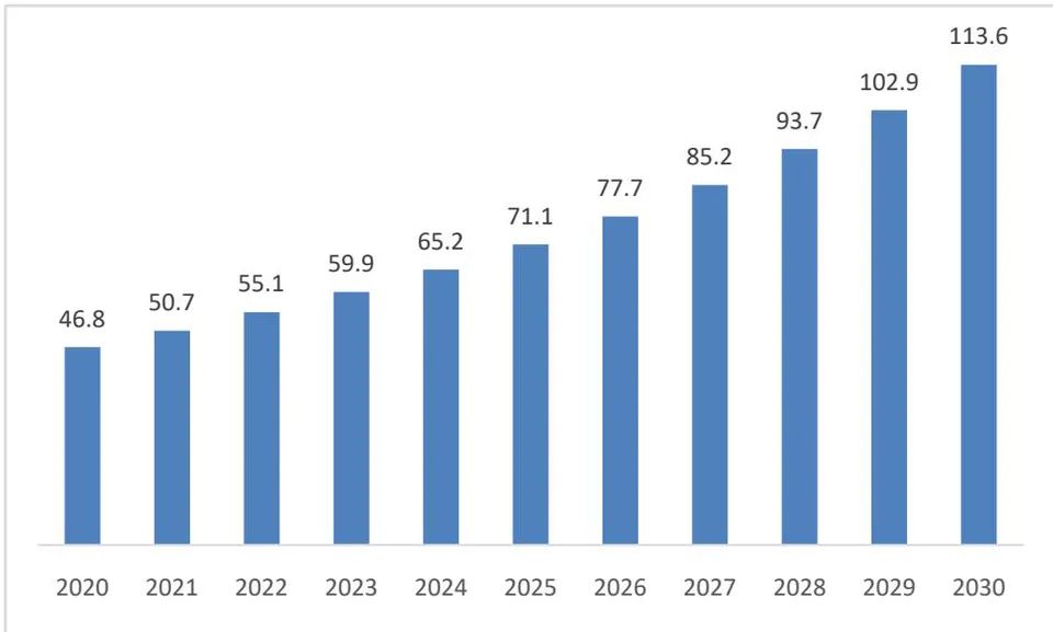 Figure 4: Size of Saudi Arabia's LMD Express and Same Day Delivery Market (Source: Yadav and Mutreja, 2022)