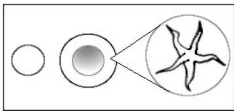 Fig. 2: EM particles shown on left, gravity particle shown magnified on right [1].