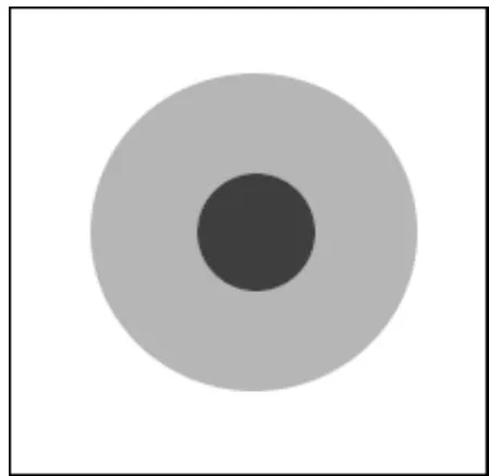 Fig. 11: A black hole with a core (in black) and an outer layer (in grey)