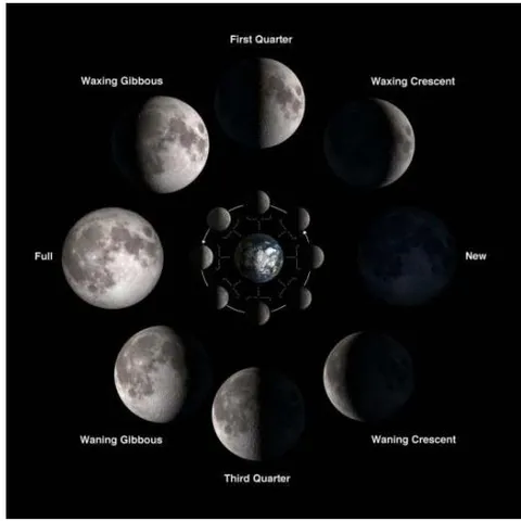 Figure 5: The Moon Phases
