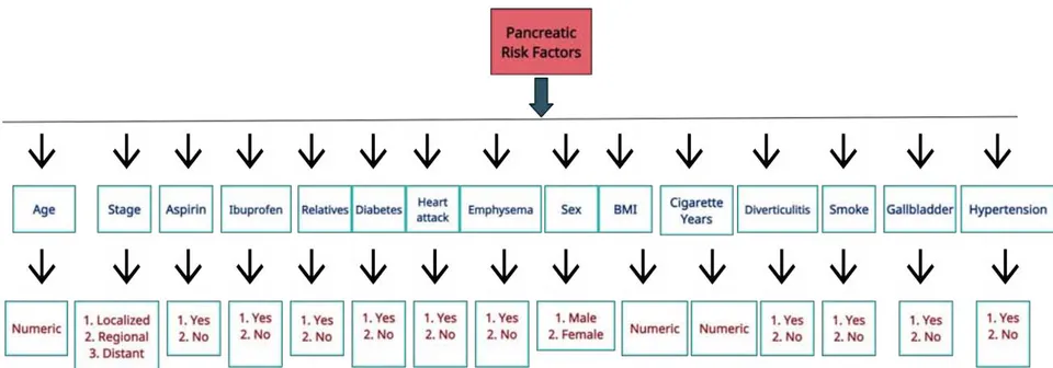 Figure 2: Pancreatic Cancer Data with Relevant Risk Factors