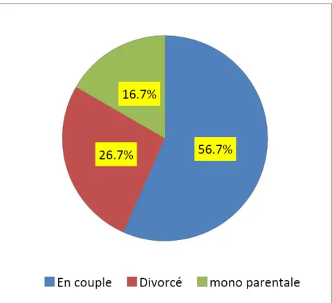 Figure 1: Répartition des enquêtes selon niveau d'études et situation parentale des parents