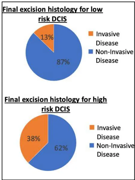 Figure 3: Post Histology results for DCIS groups