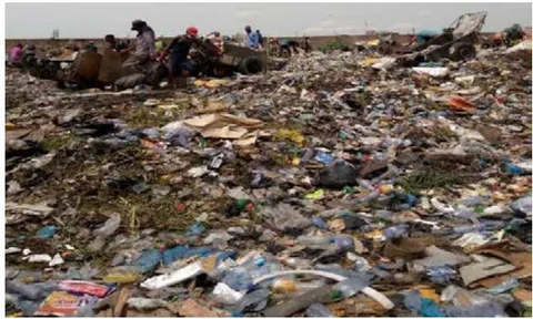 Figure 9: Waste at the pirate dump on Saio Avenue