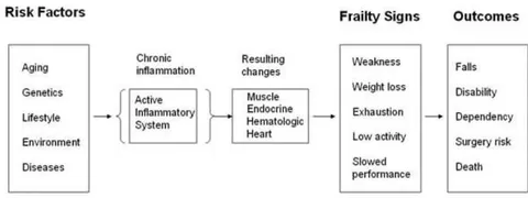 Figure 1: Frailty in elderly