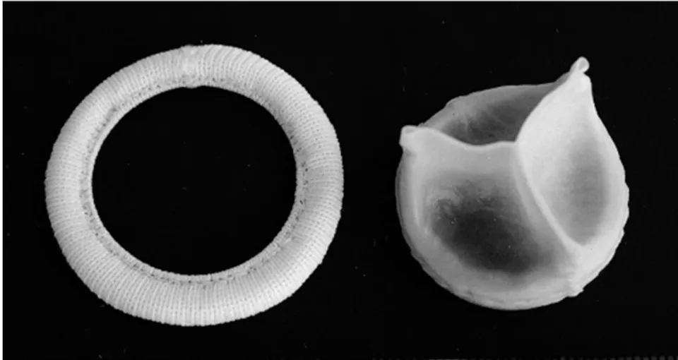 Figure 2: Interchangeable Bioprosthetic Heart Valve =i-BHV. Photographs view of the i-BHV separated from its sewing ring. The top left photo is the stainless-steel framework, one of which is used to make the sewing ring to support it and cover it with mesh, as shown below. Above right, the framework of the i-BHV is made of flexible plastic polymer and covered with bovine pericardium. This mechanism aids in the assembly of the bioprostheses, as shown below.