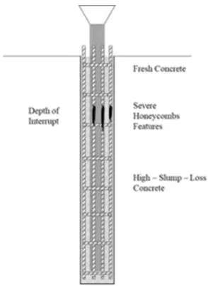 Figure 11: Severe honeycomb features following an interruption of the concreting [11]