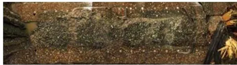 Figure 8: Difference of concrete inside and outside the reinforcement cage [7]