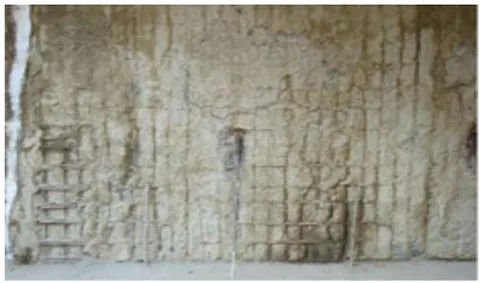 Figure 3: Panels with exposed rebars [9]