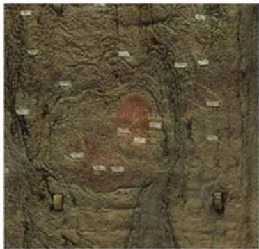 Figure 9: Concrete flow in highly dense reinforcement areas [7]