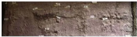 Figure 10: Interruption trace of concreting on a panel of diaphragm wall [7]