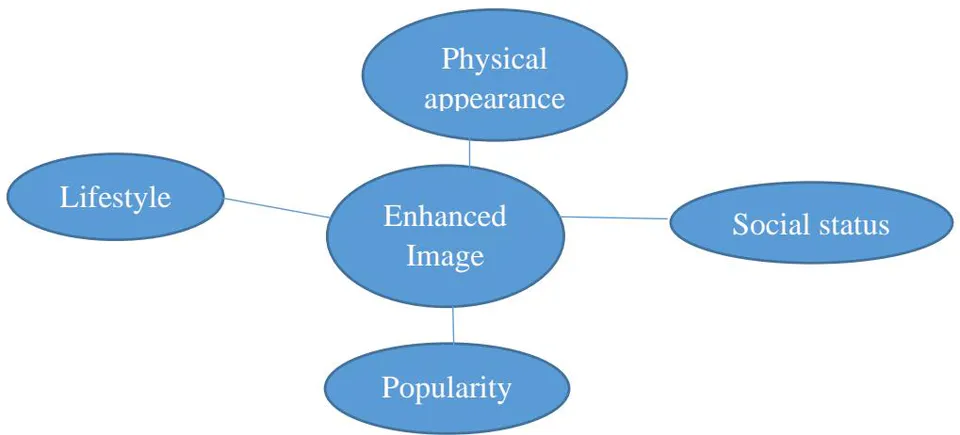 Figure 3: Thematic Map Illustrating a Theme and Four Sub-Themes