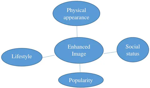 Figure 1: Thematic Map Illustrating Themes and Sub-themes