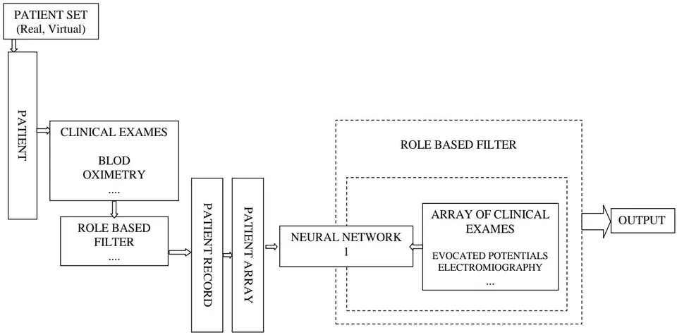 Fig. 1: This figure represents the original idea to train a neural network to distinguish an MS patient from a healthy one, as well as "memorizing" the cases seen in training.