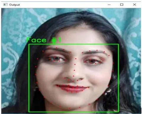 Fig. 2: Visualizing the 68 Facial Landmark Coordinates