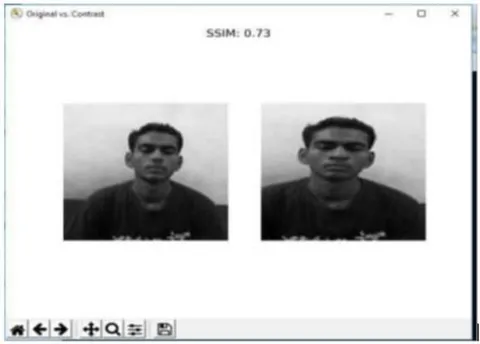 Fig. 8: Existing System (a) Original Image (b) Morphed Image with SSIM=0.73