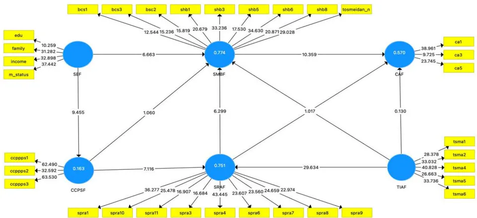 Figure 8: Model Bootstrapping with Path Coefficient and t value