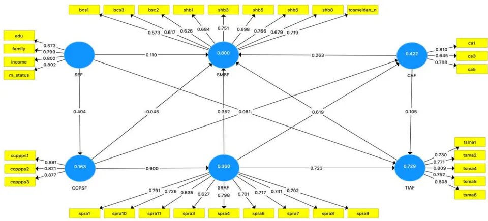 Figure 7: Measurement Model Loadings