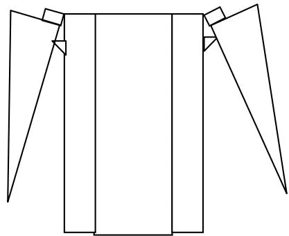 Figure 8: Blouse with separated altiţă/pleated at the collar and curled sleeve