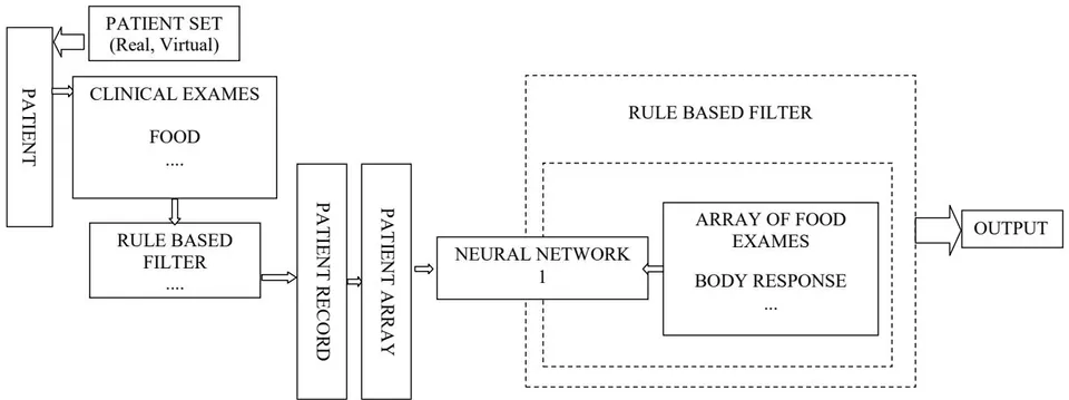 Fig. 1: This Figure Represents the Original Idea to Train a Neural Network to Distinguish an MS Patient from a Healthy One, as well as "Memorizing" the Cases Seen in Training