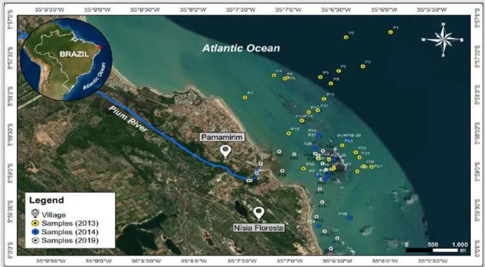 Figure 2: Collected Samples in 2013, 2014 and 2019. Yellow, Blue and White Dots are Showing Exact Location of Sampling in Different Years.