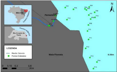 Figure 1: New Sites Collected in the Pirangi Reef in 2019. Station 16 Represents Stations 17 and 18