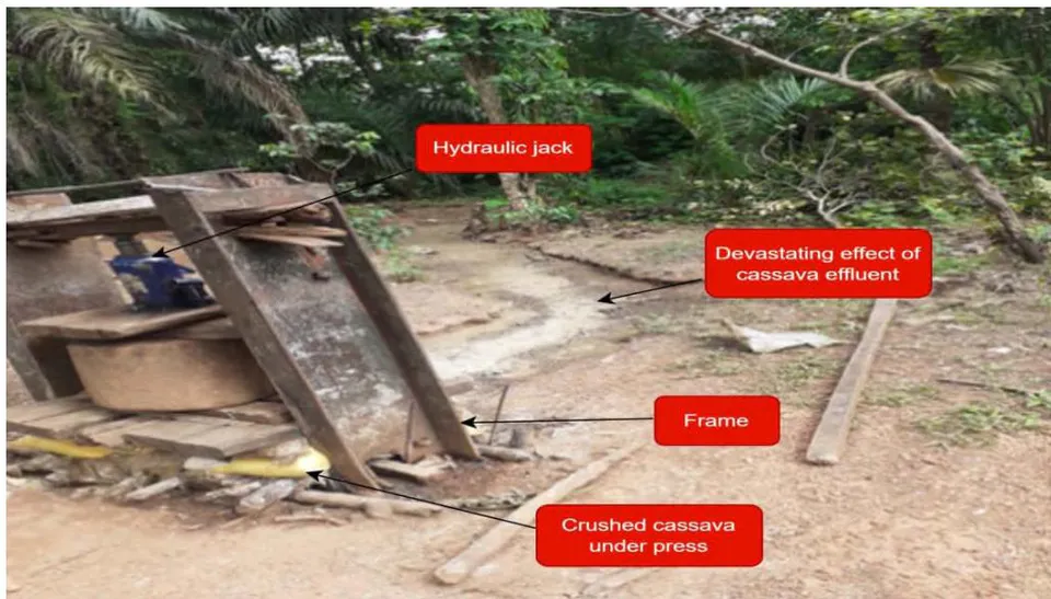 Figure 2: Effect of Cassava Effluent on the Environment