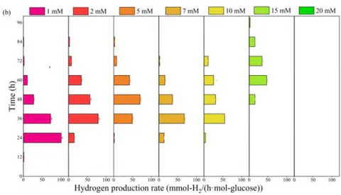 Figure 7: Hydrogen Production from Glucose in the Presence of Furfural (A) Accumulative Hydrogen Yield (B) Hydrogen Production Rate [166]
