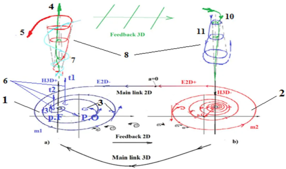 Figure 6: Complex design of complementary pairs