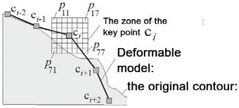 Fig. 1: Deformable "snake" model