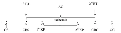 Figure 1: Diagram of the Coronary Bypass Surgery Operation