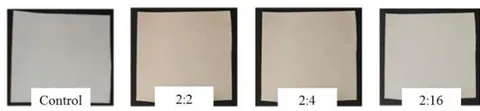 Figure 2: UH050 control and modified membranes with concentrations of DA/PVP of 2:2; 2:4; 2:16 mg mL-1 and deposition time of 2h.