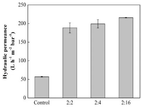 Figure 4: Initial hydraulic permeance of UH050 control and modified membranes with concentrations of 2:2; 2:4 and 2:16 mg mL-1 of DA/PVP and deposition time of 2 hours.
