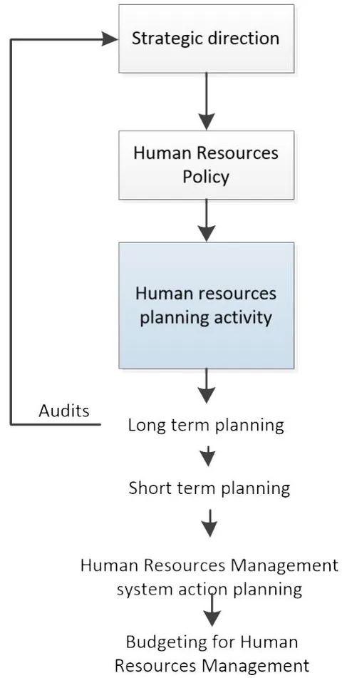 Figure 2: Systemic process involved in HR planning.