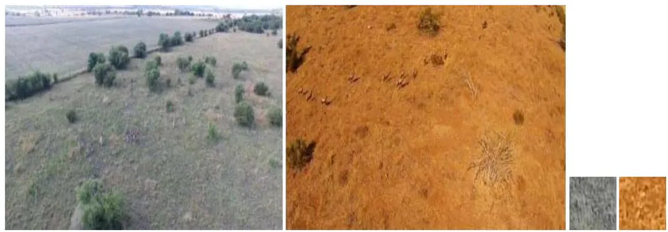 Fig. 2: Two typical scenes (Zebra [Equus quagga] scene on the left and Blesbok [Damaliscus pygargus phillipsi] scene on the right) of the environments of the datasets and the respective textures selected