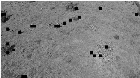 Fig. 10: Final segmented image of figure 9